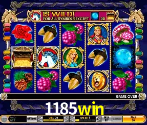 Descubra o Mundo do Cassino Online com 1185win
